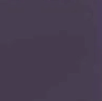 Merrithew Purple Impulse Color Sample